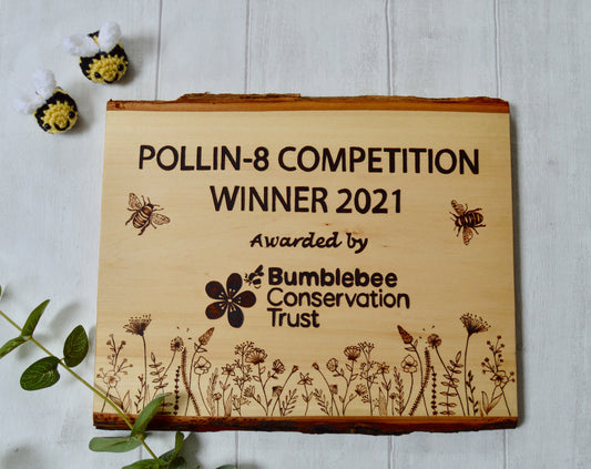 A commission from Bumblebee Conservation Trust